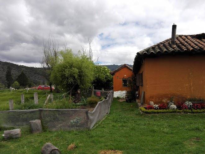 Finca posada saron
