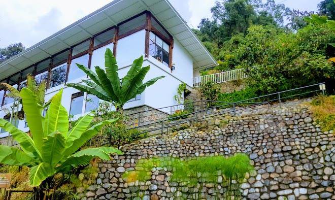 Termales tierra viva