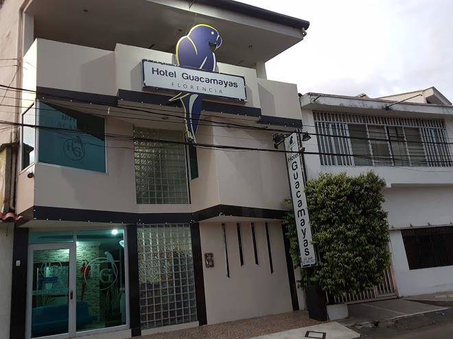 Hotel guacamayas florencia