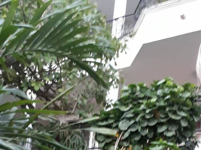 Hotel jesaley