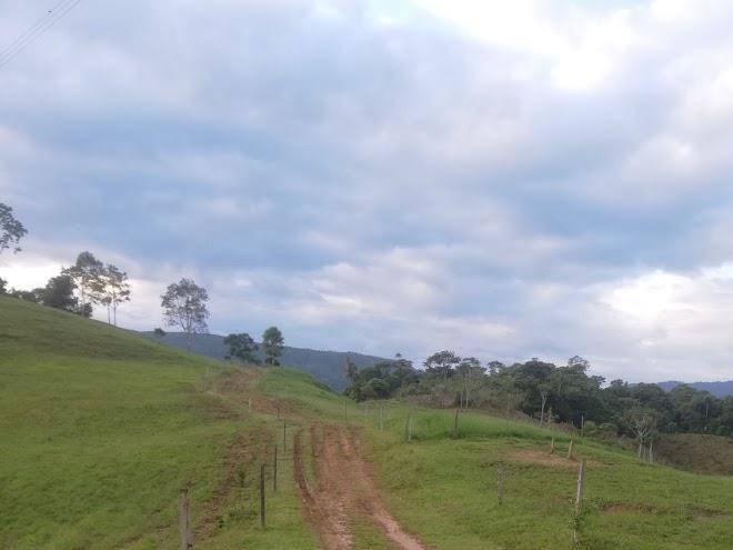 Finca los bufalos