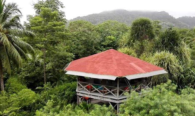 Paraiso cangrejales
