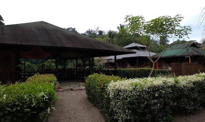 Paraiso guachalito