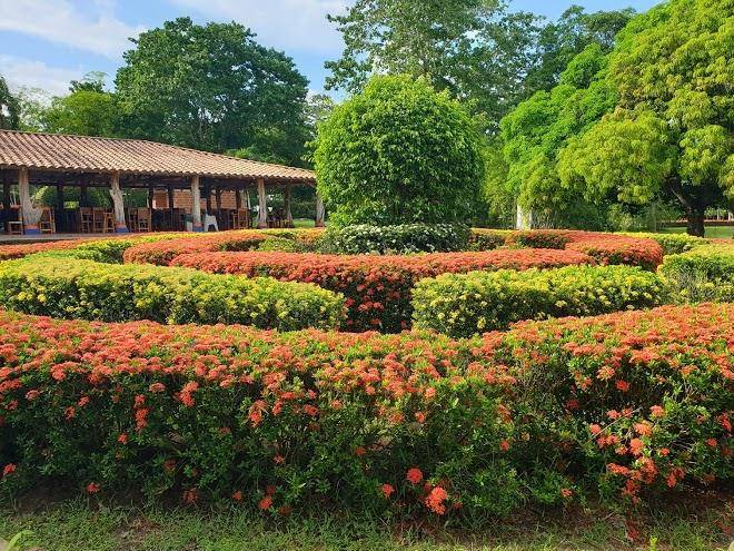 Hotel zooparque los caimanes