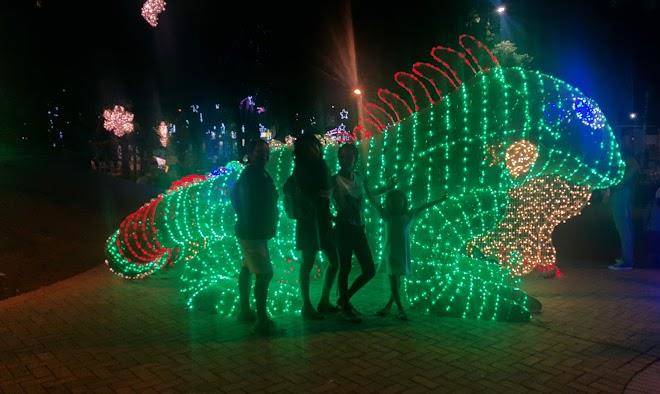 Hotel Monteria Real Image