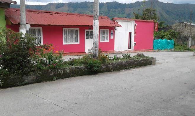Hotel las palmas