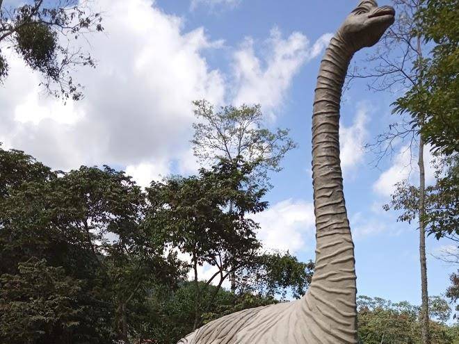 Parque Finca Hotel El Yarumo Image