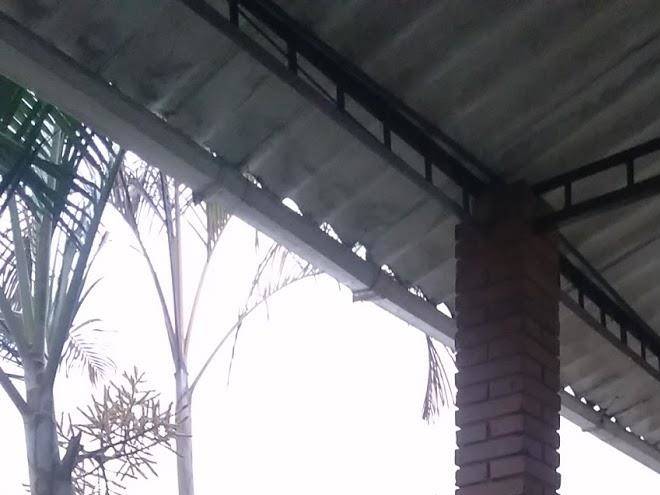 Finca San Pedro Image