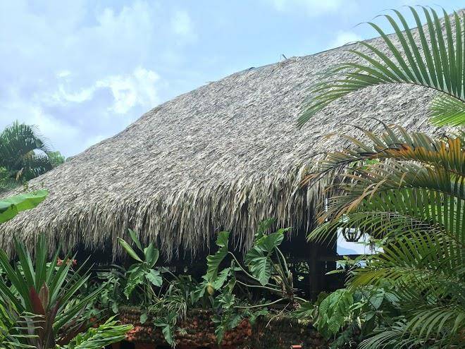 Hotel green ecologico