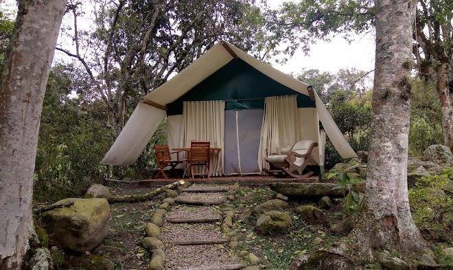 Glamping el establo