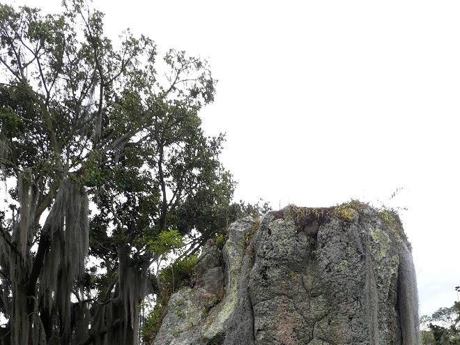 Finca santa lucia guatavita