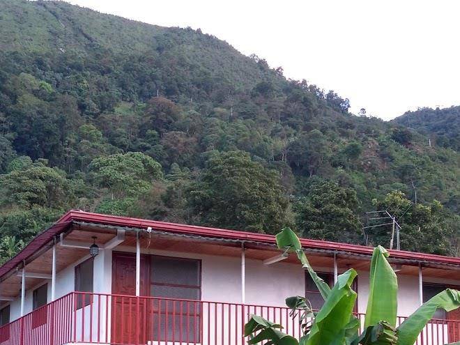 Huerto las delicias