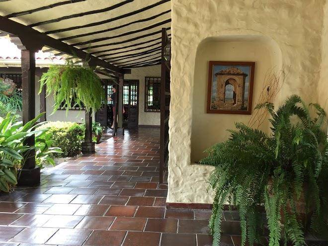 Finca calusa