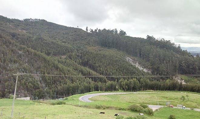 Finca santa ana