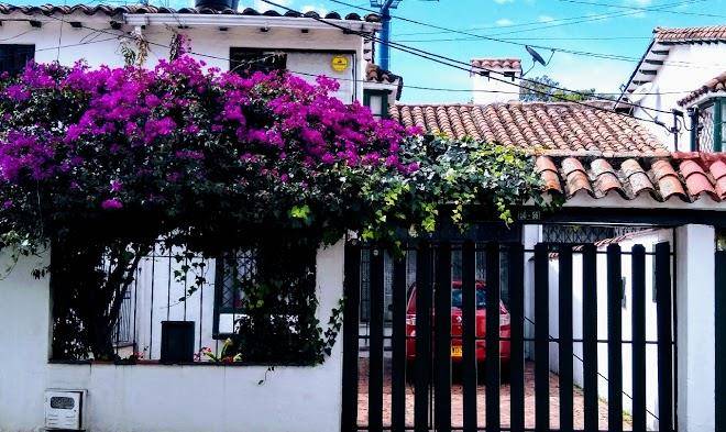 Camitas inn norte