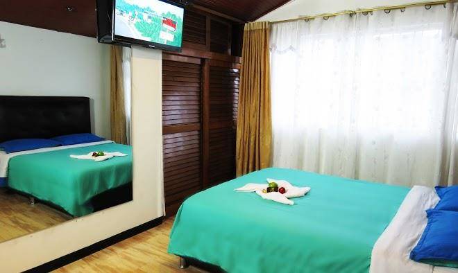 Hotel palma de la sabana