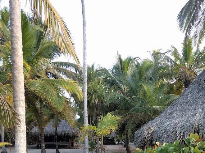 Cabanas las estrellas s a s