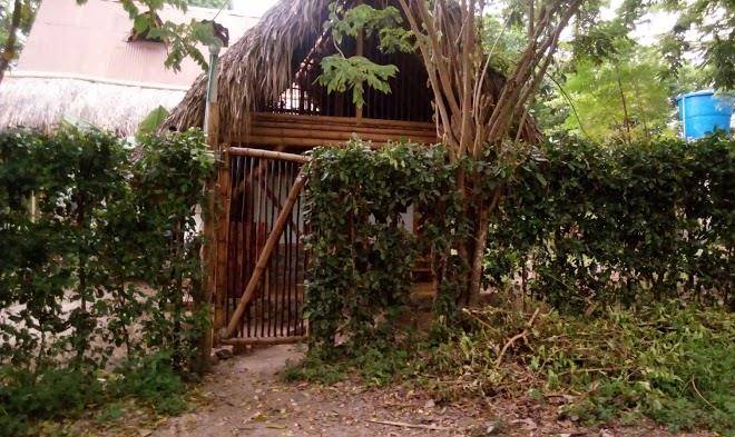 Eco cabanas niuvaluna