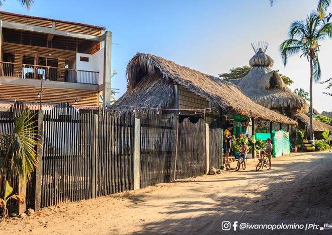 I Wanna Palomino Image