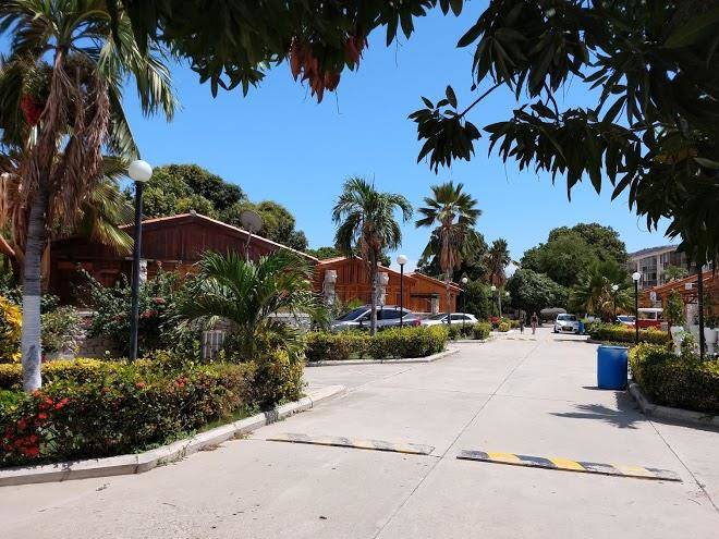 Cabana del arbol