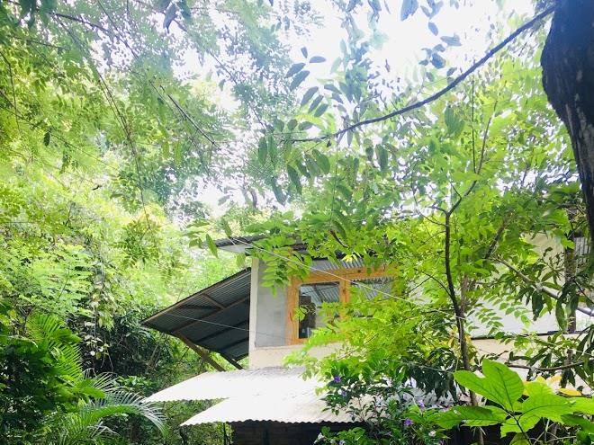 Finca tibiki