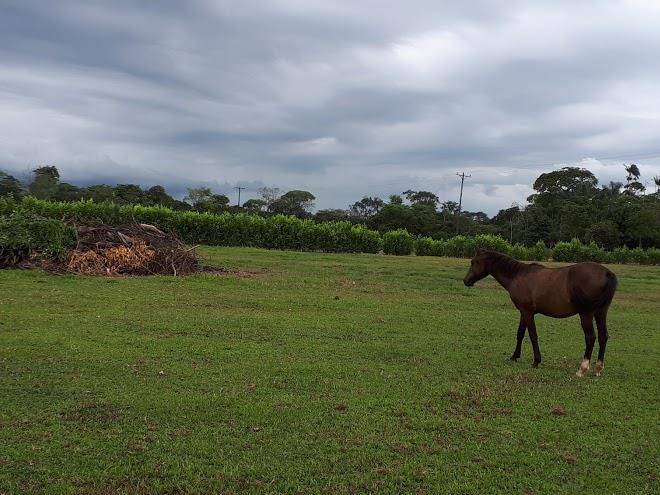 Finca el recuerdo