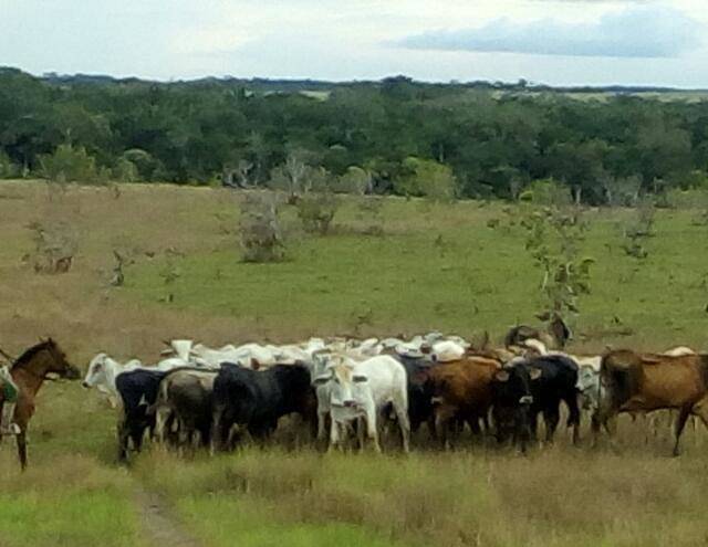 Hotel Sabanas De Irique Image
