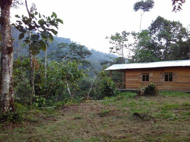 Finca vaguara