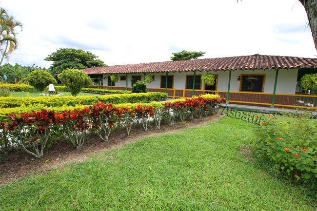Finca hotel betulia