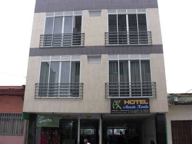 Hotel Aussie Koala Image