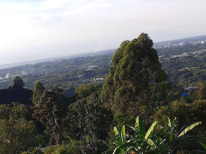 Finca bella vista