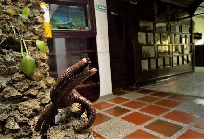Hotel del parque