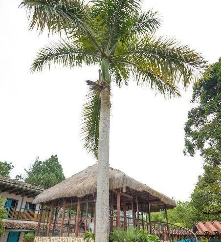 El Eden Country Club Residencial Image