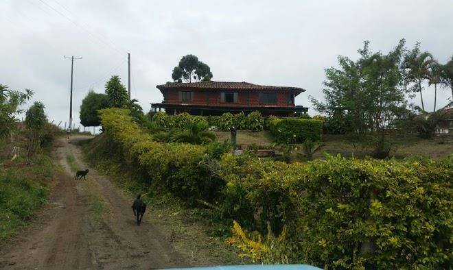 Steel horse finca filandia