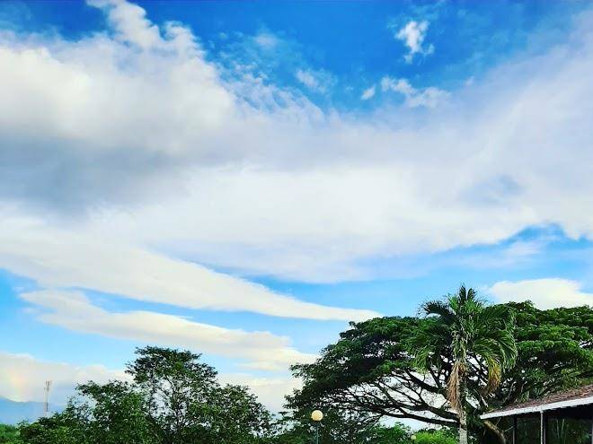 Finca altillo del porvenir