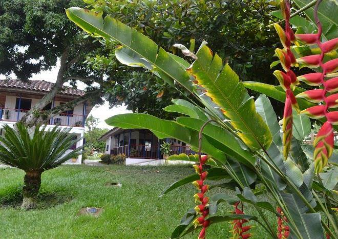 Finca hotel la colmena de don juaco