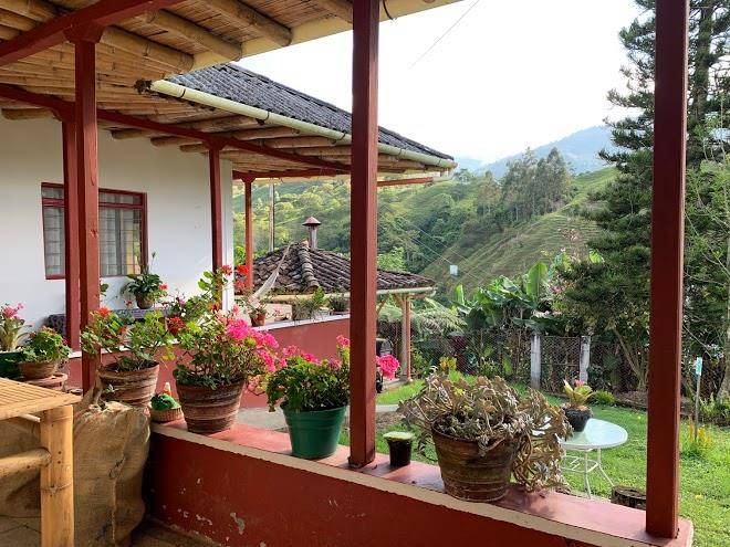 Panorama cafe pijao