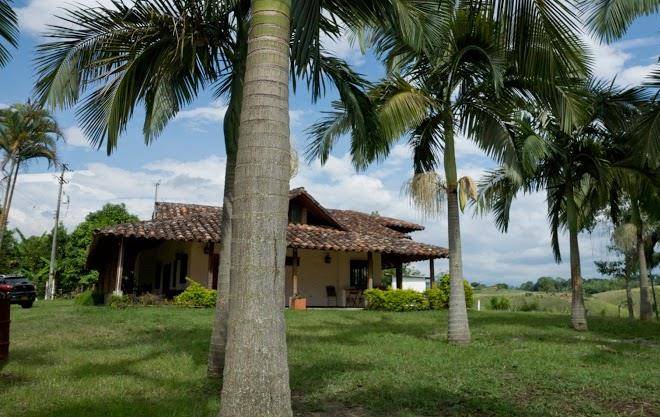Finca bellavida