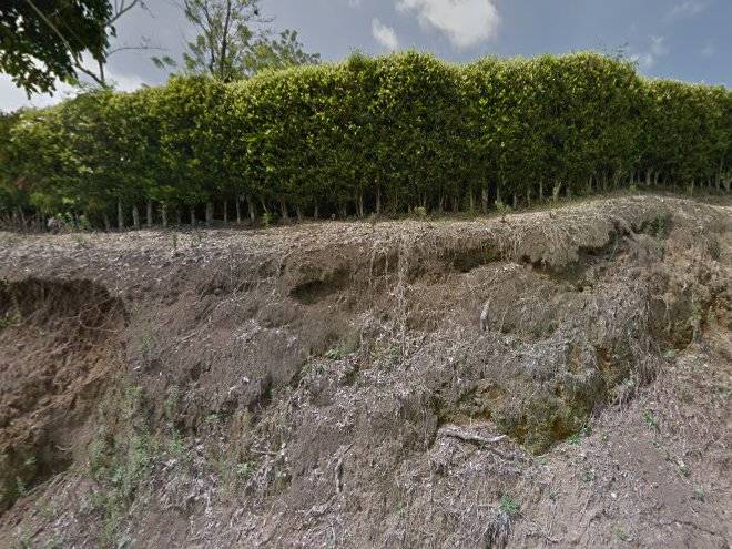 Finca monteverde