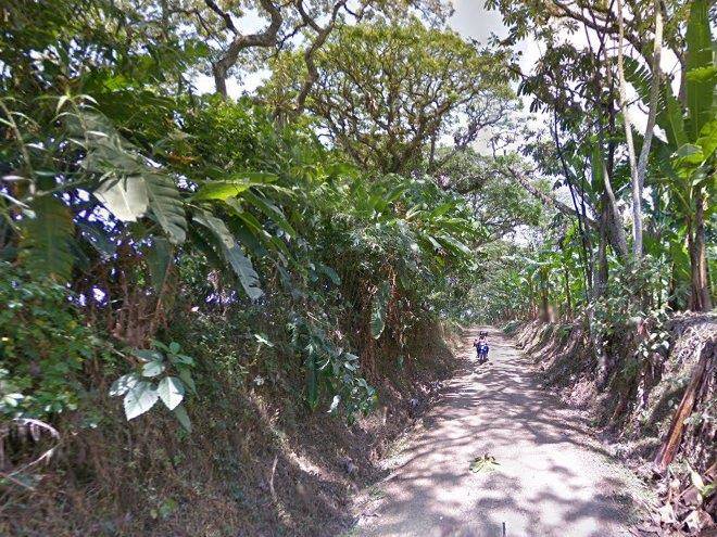 Horizonte del quindio
