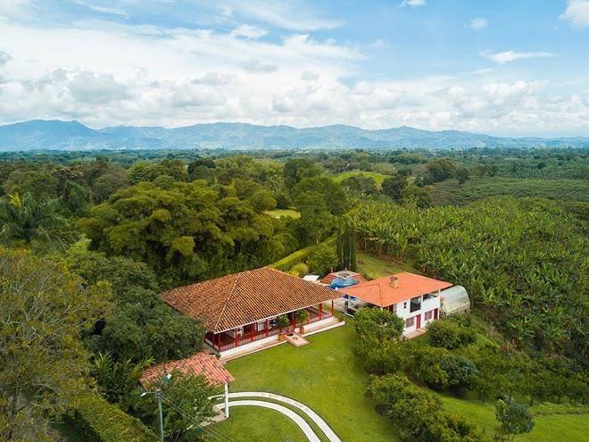 Hotel finca los mangos