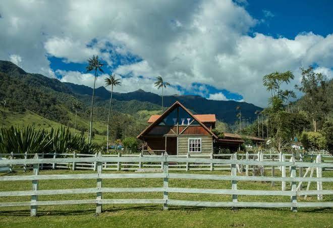 Eco hotel las palmas de cocora