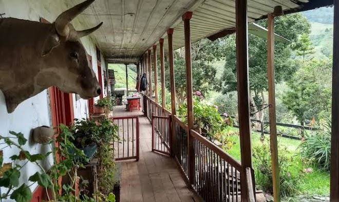 Finca los arboles