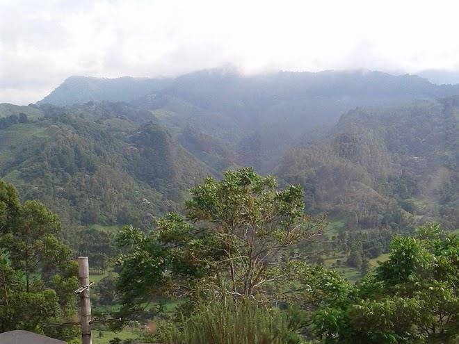 Hato grande