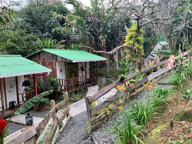 Selva verde