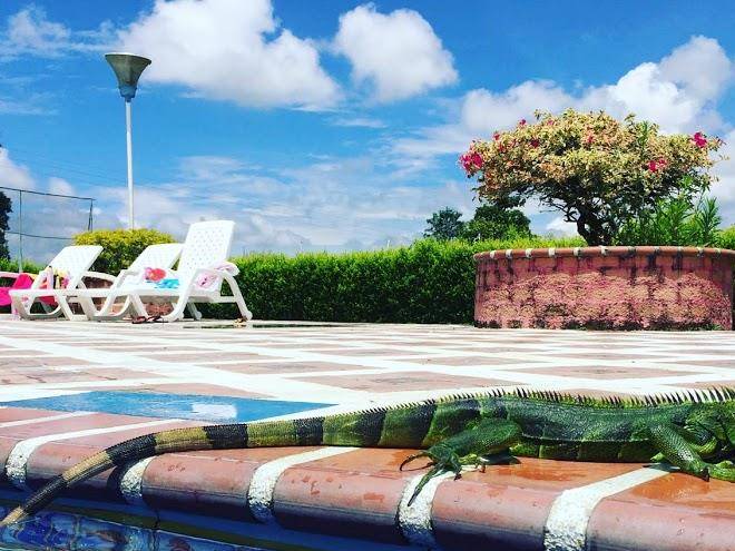 Finca el eden