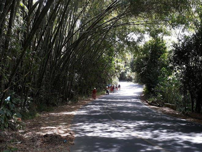 Finca la pichinga