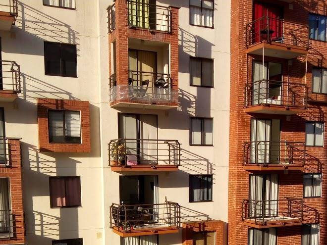 Pinares de aragon