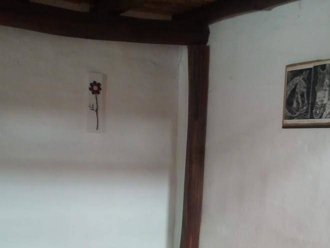 Posada el saman