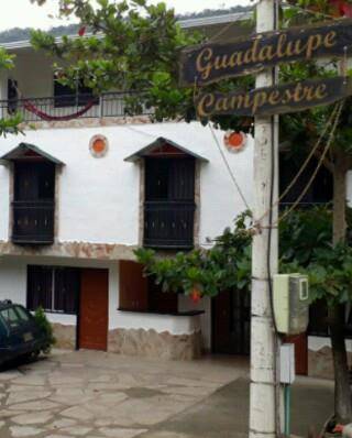 Guadalupe campestre